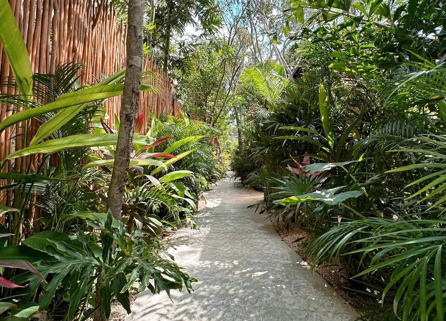2 Private Pools & Bbq Apartment Tulum