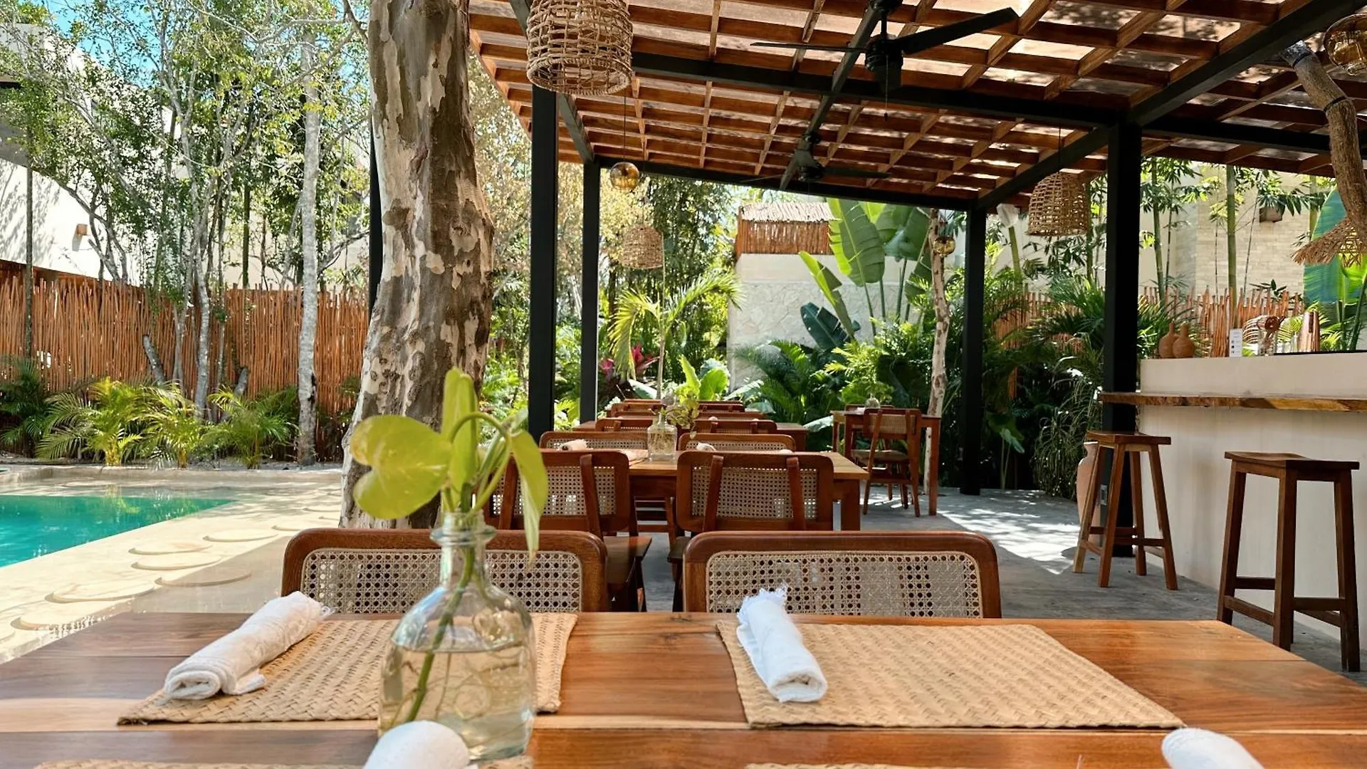 2 Private Pools & Bbq Apartment Tulum Mexico